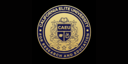 caeu.online